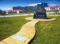 宁波天华矿业集团